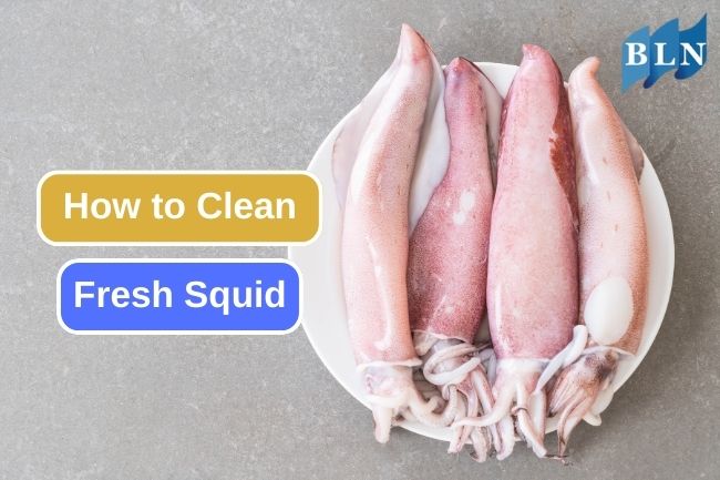 Cleaning and Preparing Fresh Squid